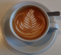 A flat white in a classic white cup seen from directly above with a multi-leaf fern motif in the latte art.