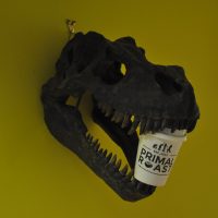 What looks to be a dinosaur's skull from the wall of Primal Roast in Glasgow, holding a Primal Roast takeaway cup between its open jaws.