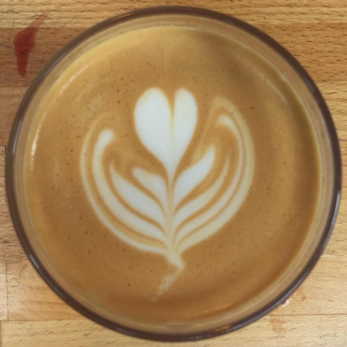 A flat white, seen from above, with a simple tulip pattern latte art.