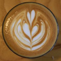 The latte art in my cortado, made with the Third Coast blend at Madcap, Monroe Center, Grand Rapids.
