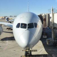My American Airlines Boeing 787-800, by far the nicest plane I've flown on for an internal flight in the USA, at the gate in Phoenix Sky Harbour Airport, a mere three hours before it eventually took off!