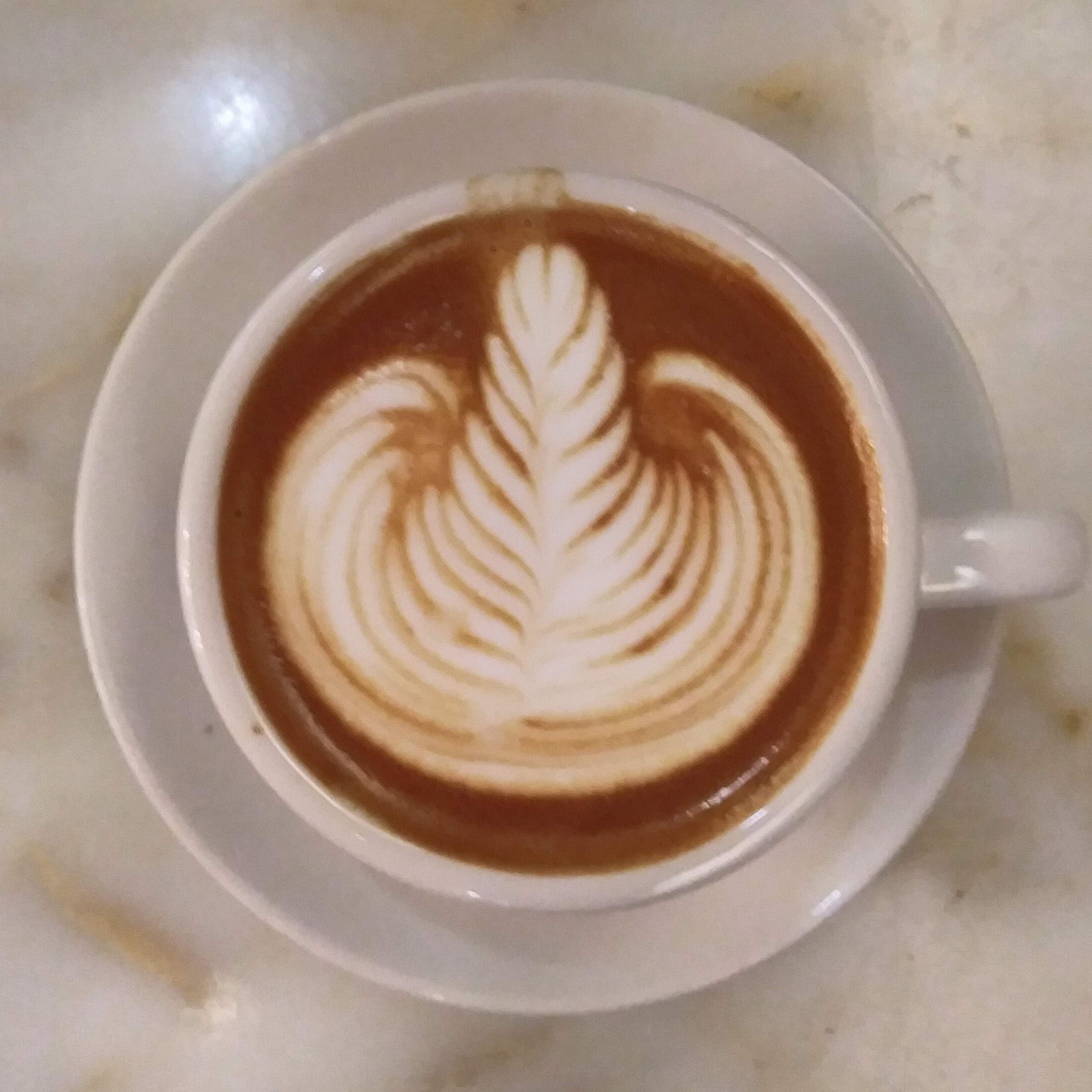 Some gorgeous latte art in Amanda's cappuccino at the Doughnut Vault on Canal Street, Chicago.