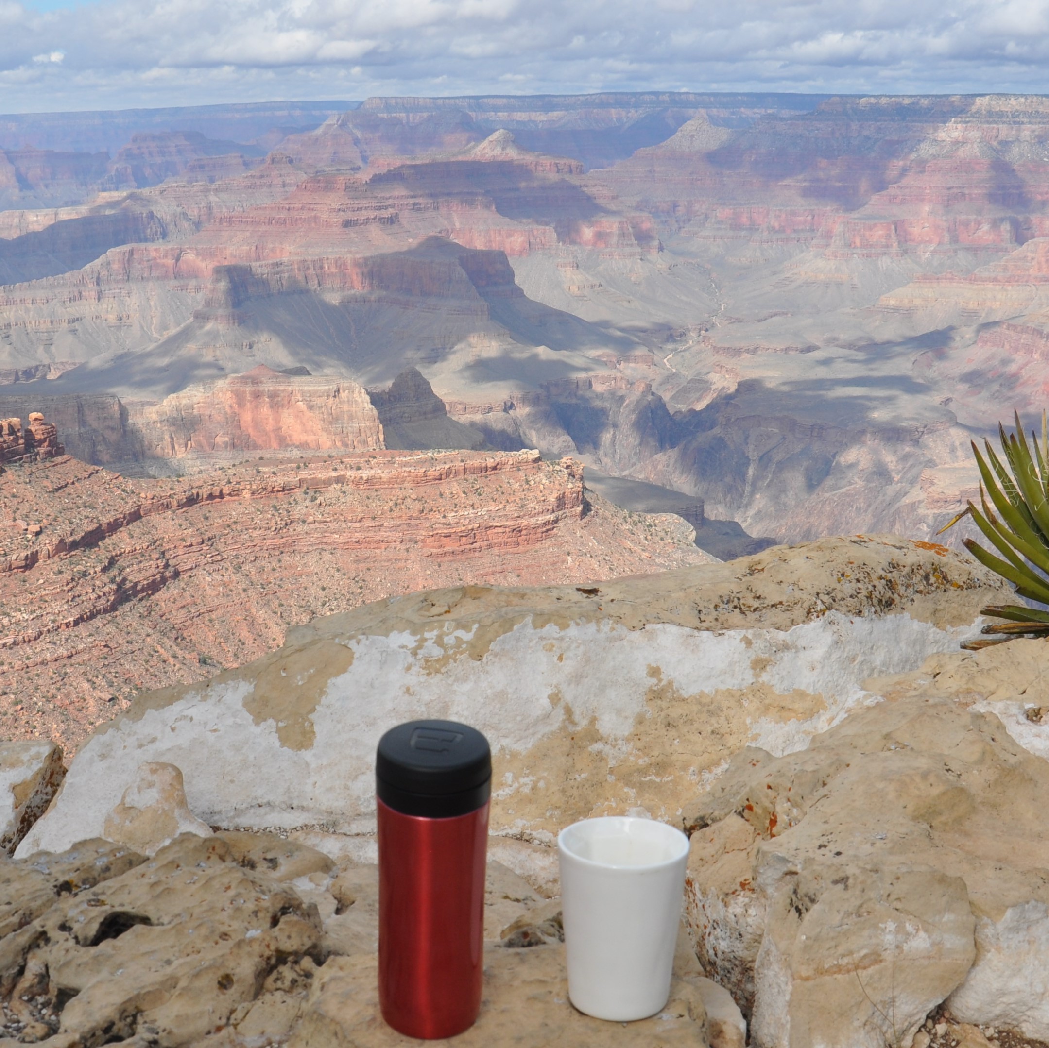 My coffee, in the shape of my Travel Press and Therma Cup, takes in the views from the South Rim of the Grand Canyon near the start of the Trail of Time.