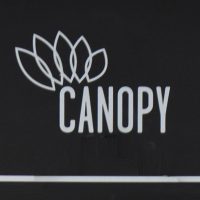 The Canopy logo (the word CANOPY with five leaf outlines above the C & A) in white chalk from the top of the menu board inside Canopy Coffee.