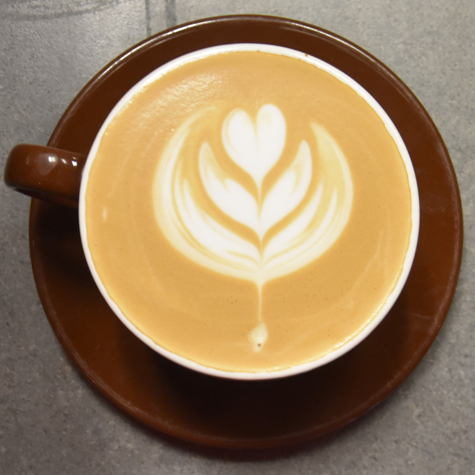 A latte with some tulip latte art, made with the Boxcar blend and served in a classic earthenware cup.