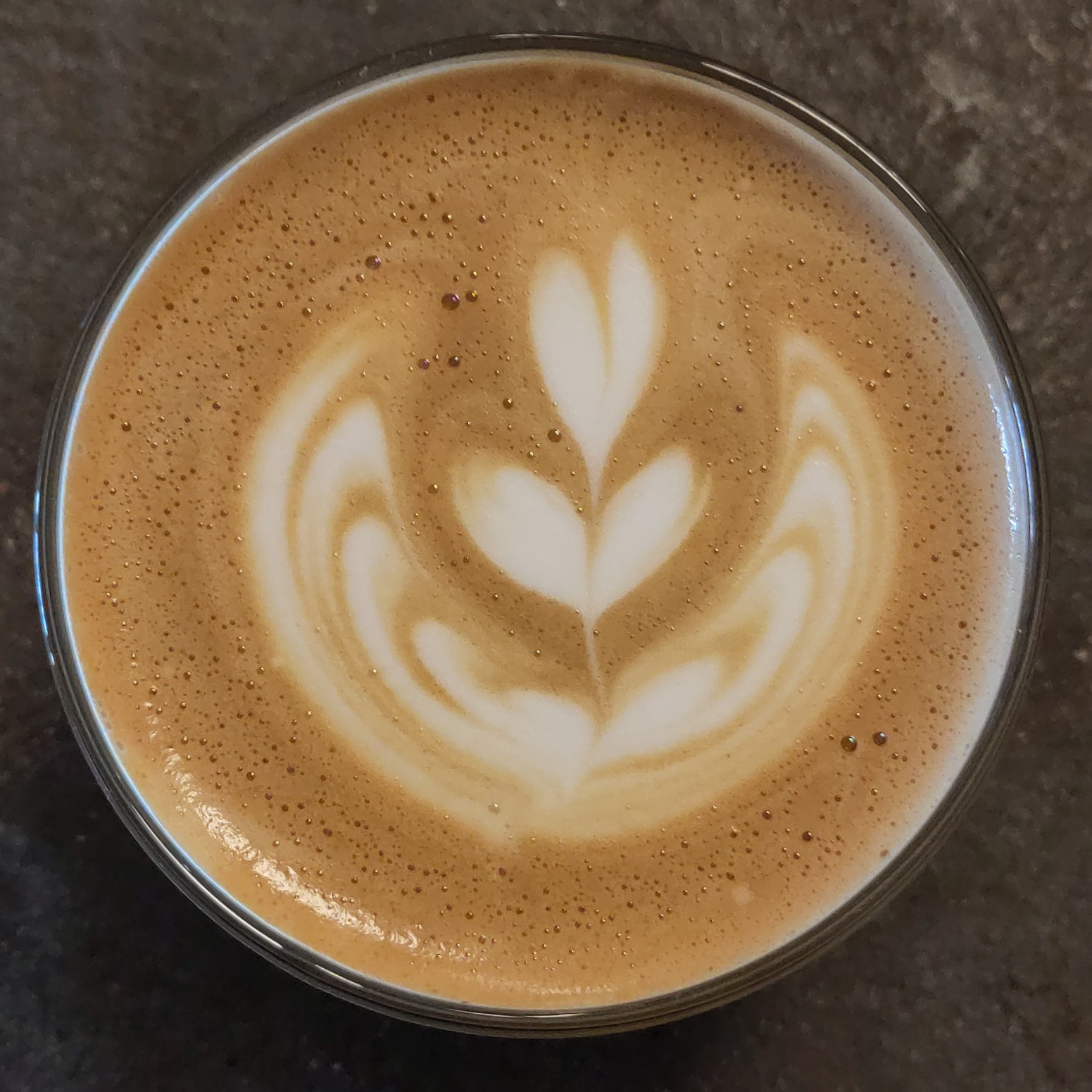 Some lovely latte art in my morning cappuccino, made in my glass KeepCup and served at Mythical North in Scottsdale.