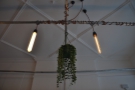 ... and hanging plants along with lights.