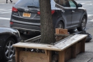 ... and these benches around a tree trunk, which reminded me of the Mott Street branch.