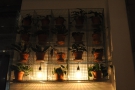 The plants, and their lights, in more detail.