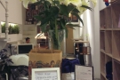 Vietnam Coffee Republic is full of nice touches, including these flowers by the counter...