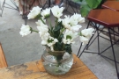 There are lots of nice touches at The Espresso Station, such as these flowers on the tables.