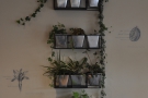The third is a shelf with various greenery, a nod to the coffee shop's name, Canopy.