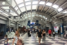 A novel experience: domestic arrivals, Terminal 1, O'Hare, where a surprise waited for me.