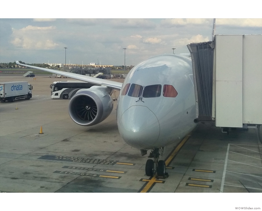 My ride to Chicago, an American Airlines Boeing 787-800, at the stand at Terminal 3.