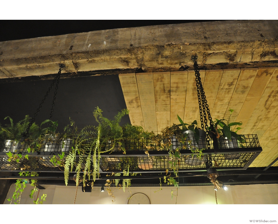 The interior is fairly austere, but enlivened by these plants above the central table.