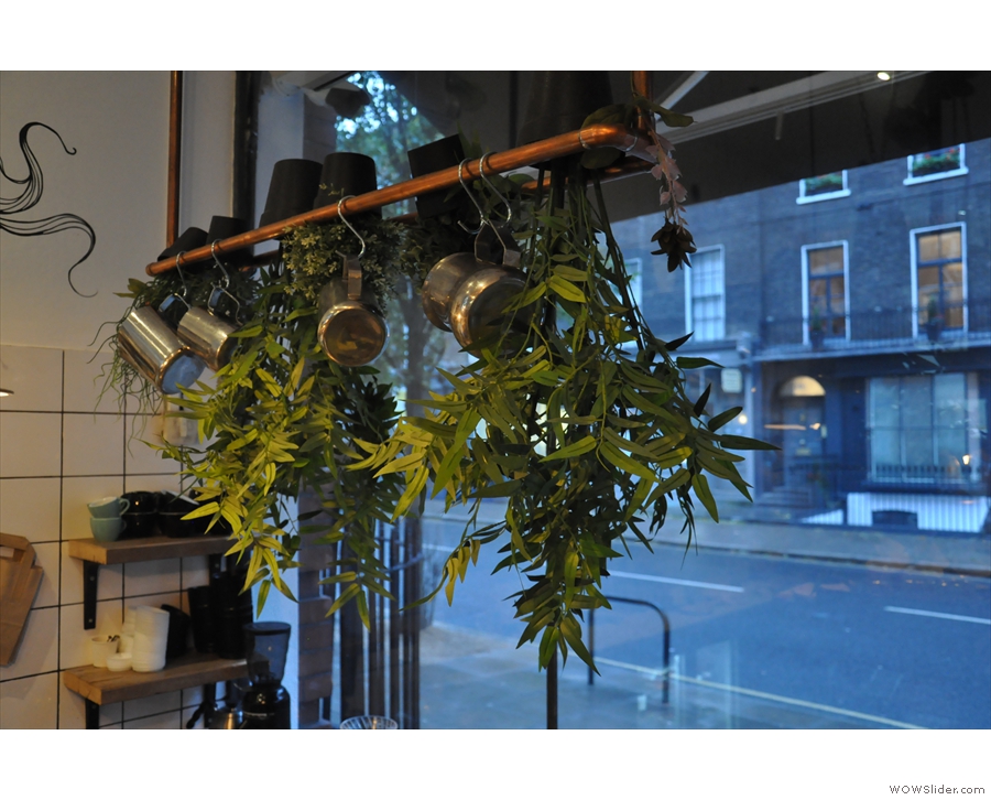 It's not all light bulbs. These plants adorn the window on the right.