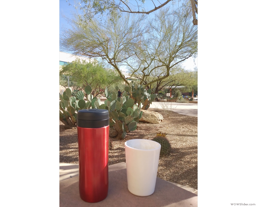In Phoenix, I took my coffee out into the desert (well, the office courtyard).