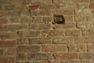 I was fascinated by the exposed brick at the back and the hints of previous structures.