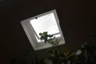 There's not a lot of natural light, just the window at the front and this skylight at the back.
