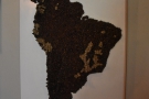 ... relief map of South America. Made of beans, the green ones mark coffee growing areas.