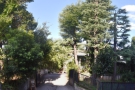 This unassuming drive-way is home to one of Tokyo's better-kept secrets.