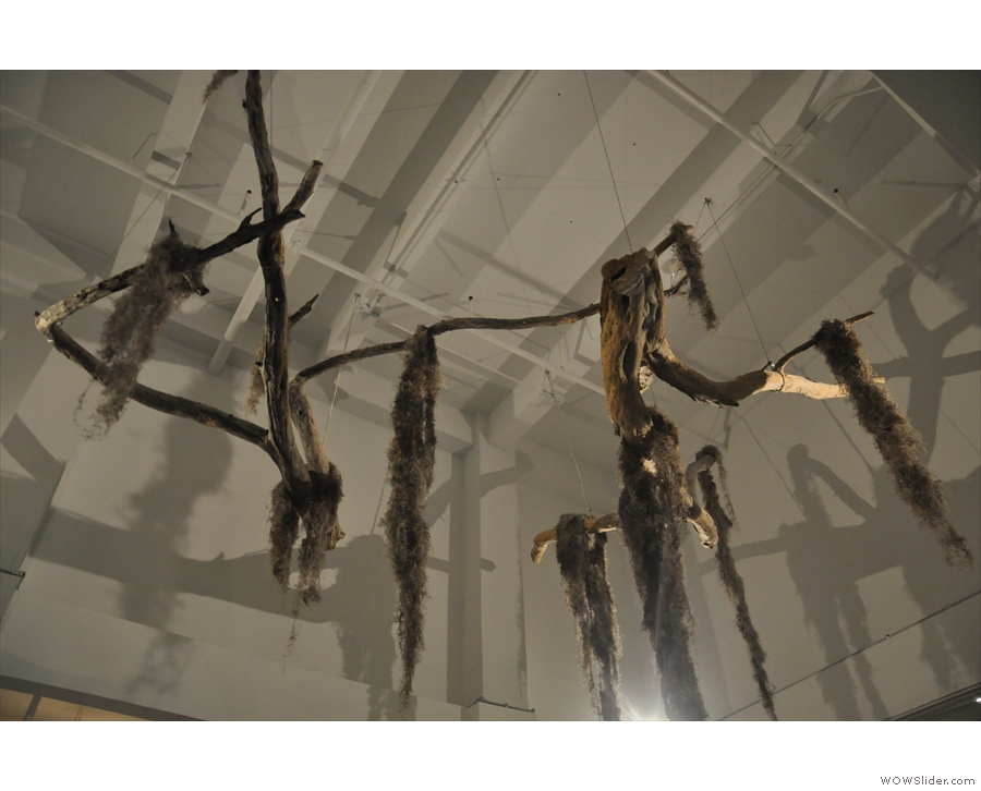 ... an installation made from dead tree branches hanging from the ceiling.