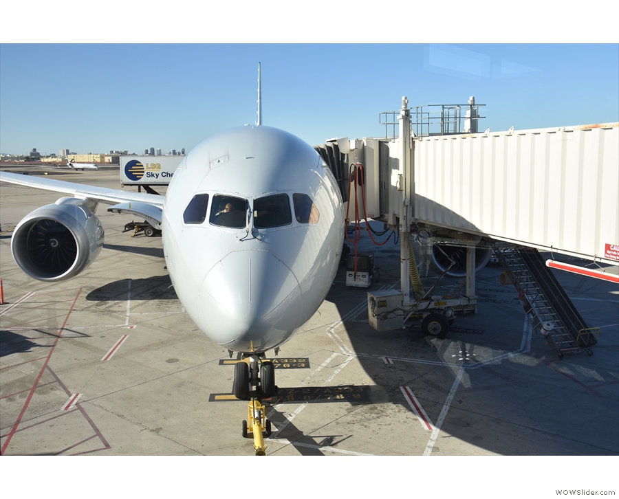 ... and here's my plane, a Boeing 787-800, getting ready to go. Then we had a set back...