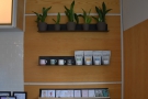 Meanwhile, there are more plants (and cards) on the shelves at the front, along with...