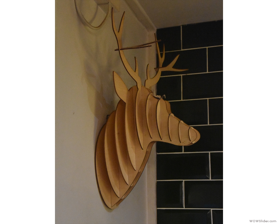 I've seen a lot of stag heads decorating walls in my time, but this is my favourite.