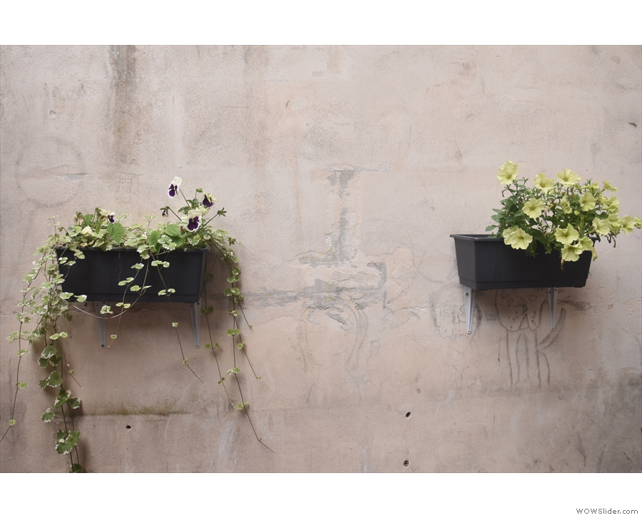 ... including these two window boxes on the wall.