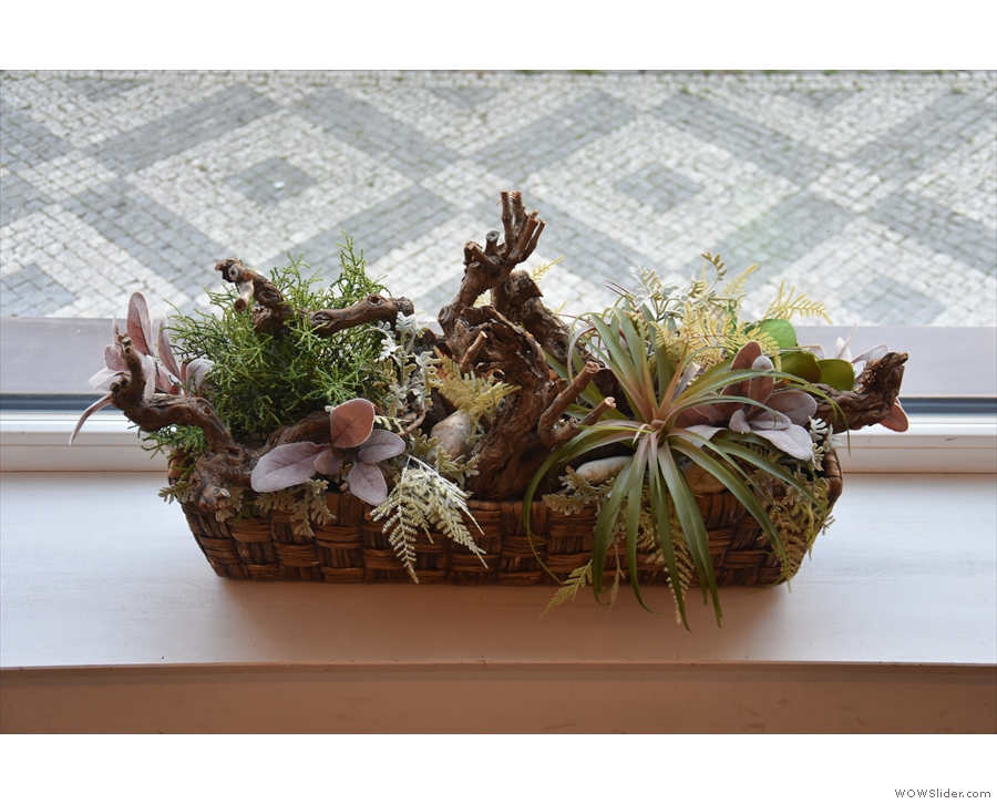 ... which also reside on some of the windowsills.