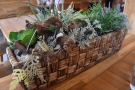 Most of them have little rectangular baskets of plants like these...
