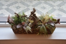 ... which also reside on some of the windowsills.