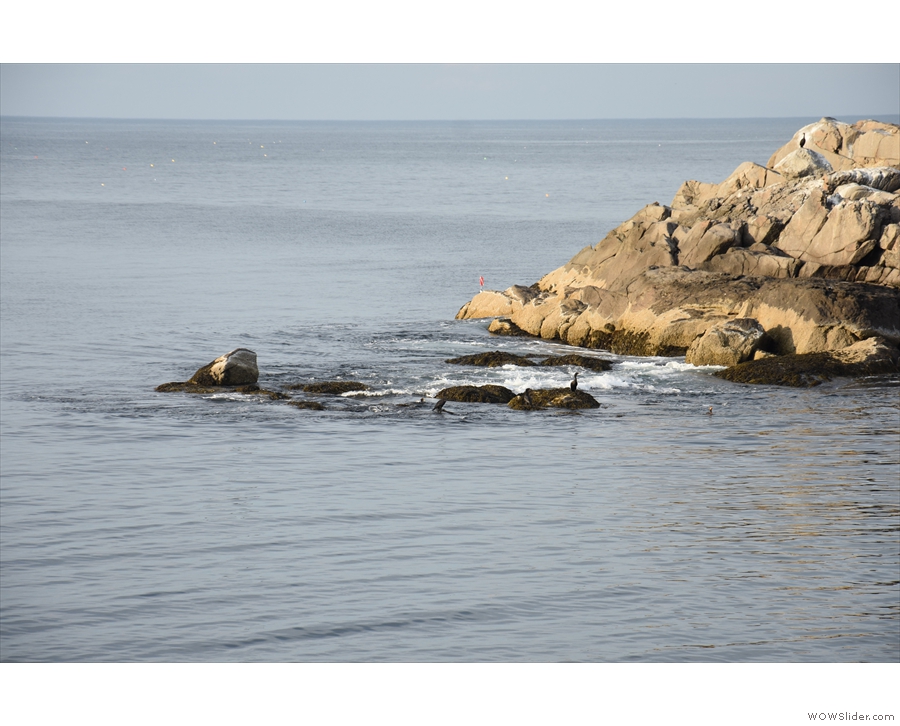 ... where these semi-submerged rocks show how treacherous a bit of coast it is.
