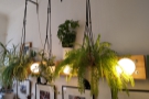 Although small, it's a busy space, with plants hanging from the ceilings and pictures...