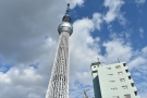 A better view of the 634m tall tower, with observation decks at 350m and 450m!