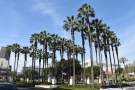 ... before making my way to Los Angeles Union Station, fronted by these palm trees.