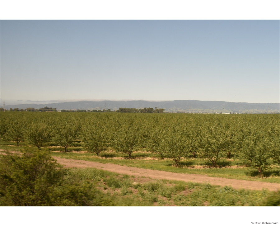 Agriculture is much more prevalent in the Central Valley