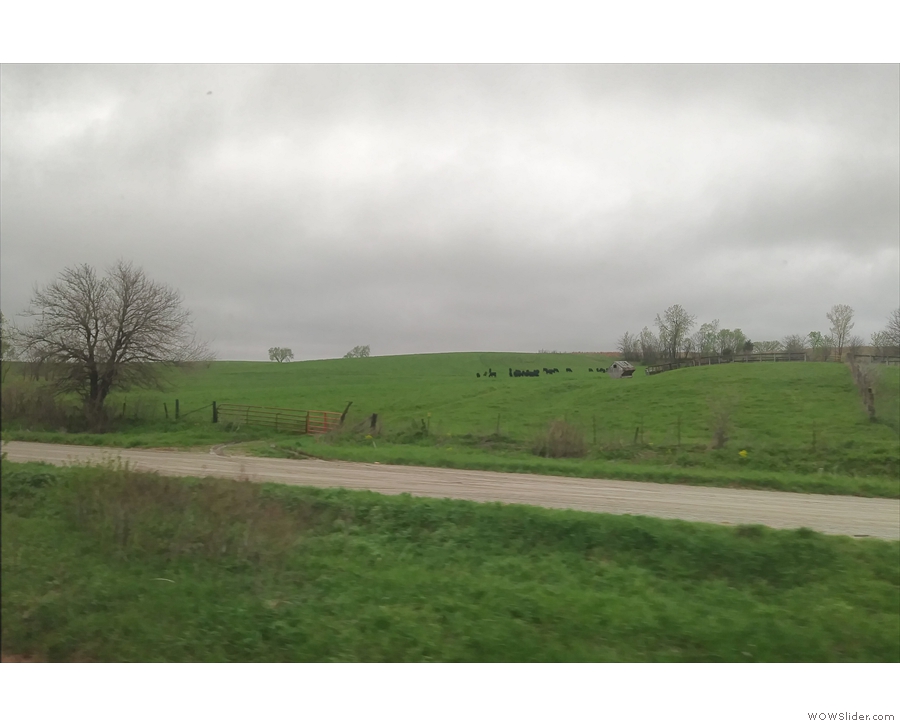 Beyond Creston, we're back to the (almost) endless Iowa farmland...