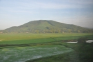 Then it was back to the rice paddies and a backdrop of hills.