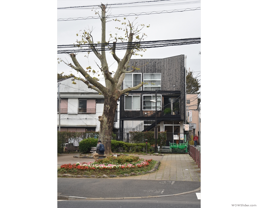 Opposite Setagaya Park, set back from the road, is a small square and a tree...