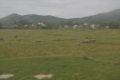 Having noted the lack of livestock on the way to Danang, I now noticed plenty...