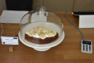 ... along with a carrot cake next to the card reader in the middle.