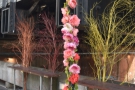 There are more flowers these days, including these on poles...