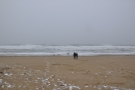 ... where we stuck to another grey, cold, stormy beach.