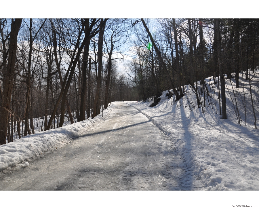 Mt Royal is very accessible though, with several trails and roads ringing it.