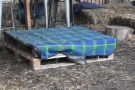 These pallets have been converted into a low seat...