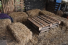 ... and a pallet with more straw bales for seats.