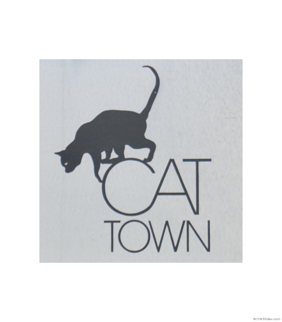 We start our shortlist in Oakland, California, with Cat Town.