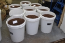 Once the beans have been roasted, they are stored in the white bins before bagging.